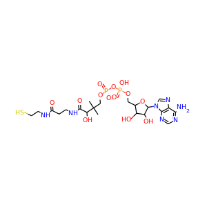 Dephosphocoenzyme A